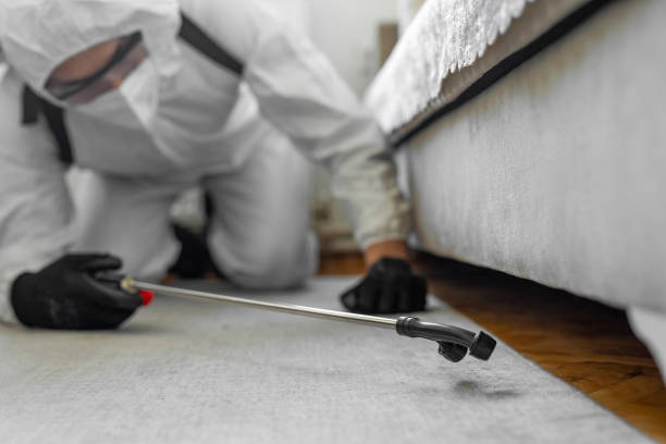 Professional Pest Control technician working in Rugby, ND