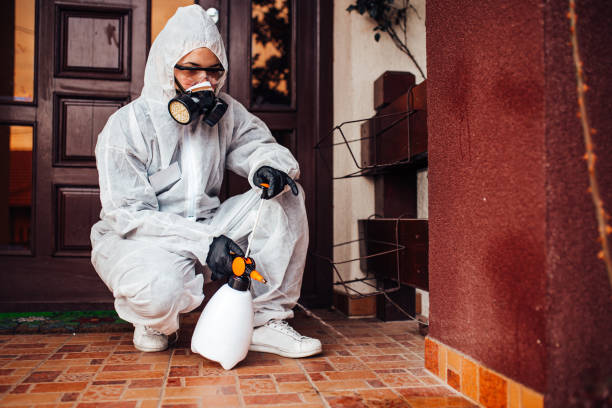Reliable Bed Bug Control contractor in Rugby, ND by Nex Pest Control