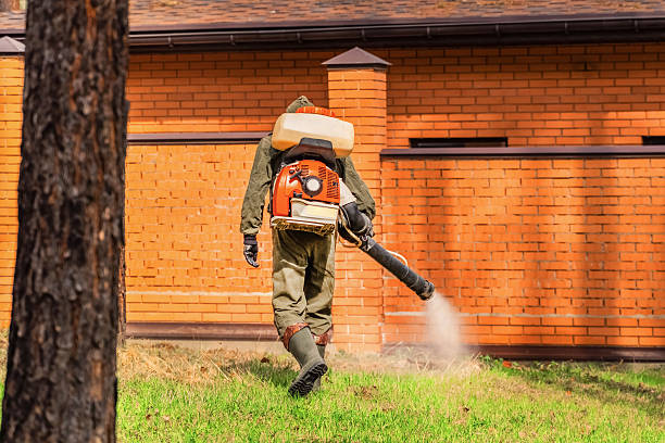 Trusted Termite Control service in Rugby, ND - Nex Pest Control